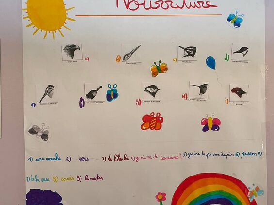Exposition "les oiseaux dans notre environnement"