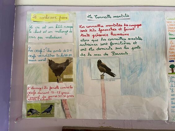 Exposition "les oiseaux dans notre environnement"