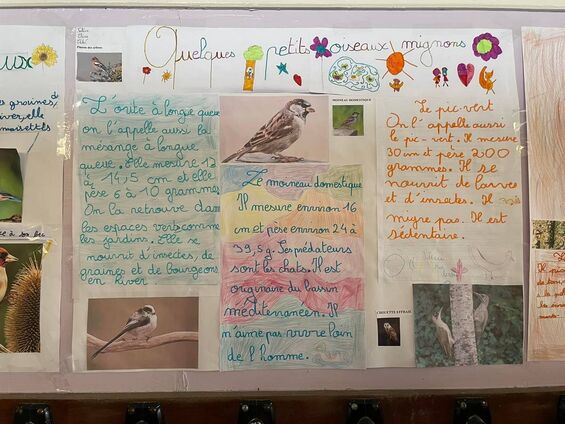 Exposition "les oiseaux dans notre environnement"