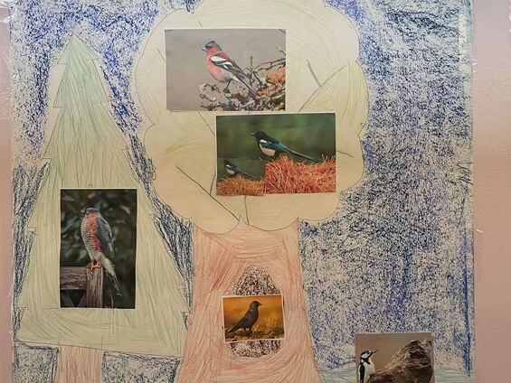 Exposition "les oiseaux dans notre environnement"